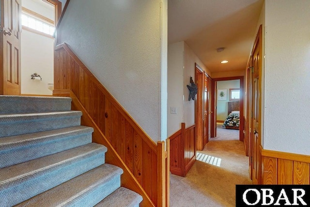 stairway with wainscoting, wooden walls, carpet floors, and a textured wall