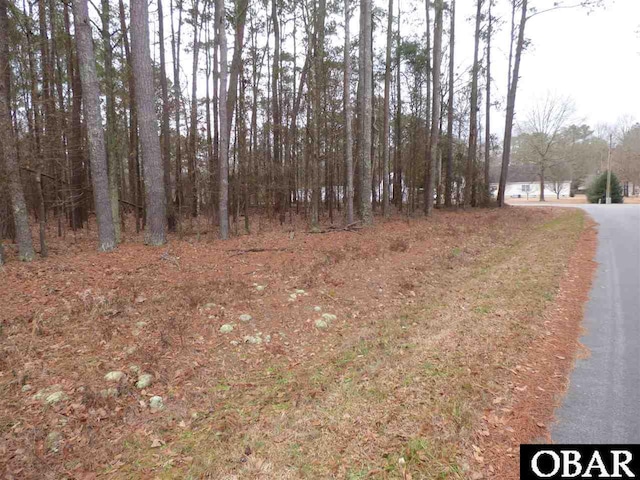 Listing photo 2 for 210 Seminole Trl Lot # 105, Edenton NC 27932