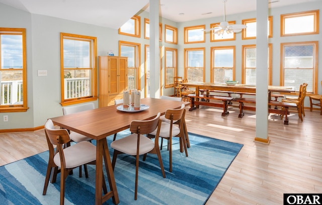 dining room with a ceiling fan, baseboards, a healthy amount of sunlight, and light wood finished floors