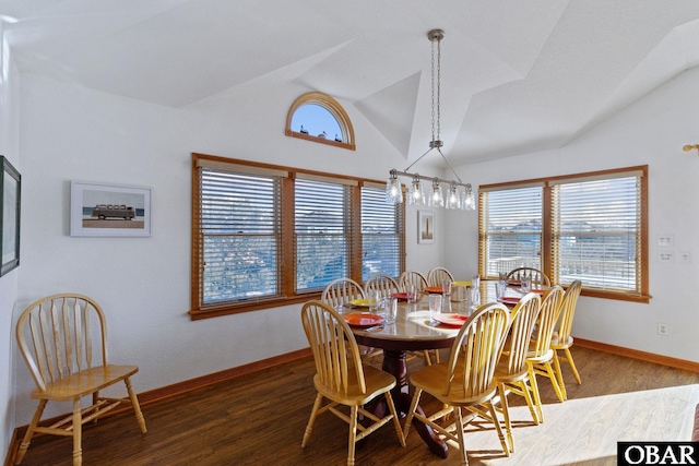 dining area featuring lofted ceiling, a healthy amount of sunlight, and wood finished floors