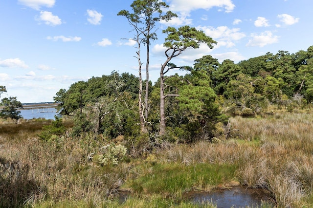 view of landscape with a water view