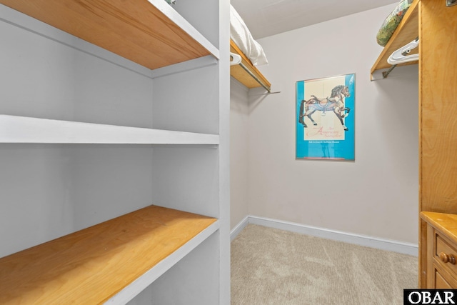 1148 Dunton Dr Lot 337, Corolla, NC 27927 - walk in closet with carpet