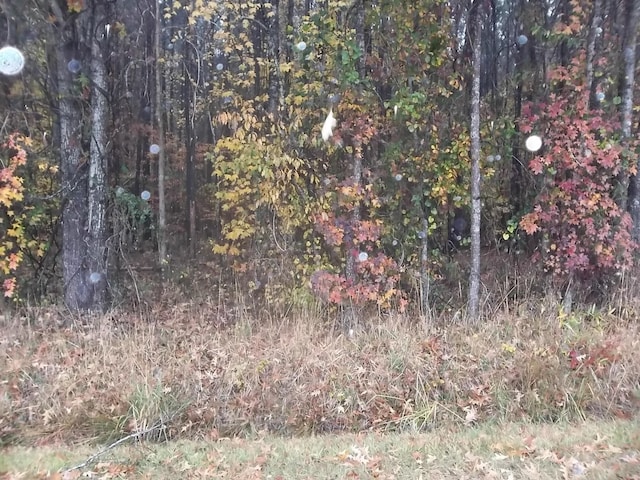 TDB Sueola Beach Rd Lot # 2, Hertford, NC 27944
