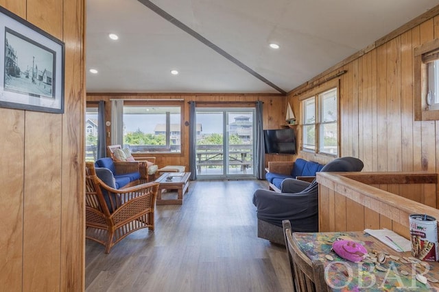 living area with a healthy amount of sunlight, wood walls, and dark wood-type flooring