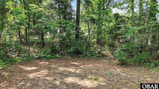 116 First Colony Ct Lot 4, Manteo, NC 27954 - view of tree filled area