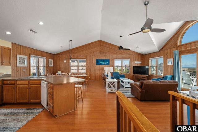25270 Sea Isle Hills Dr Lot 5-18, Waves, NC 27982 - kitchen featuring wooden walls, plenty of natural light, and a sink