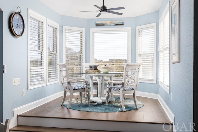 dining area with a healthy amount of sunlight, ceiling fan, baseboards, and wood finished floors