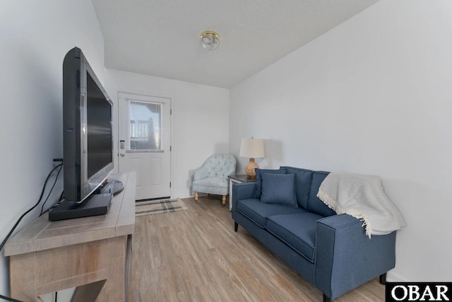 living room featuring wood finished floors