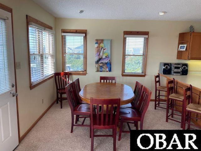 23168 Wimble Shoals Drive Lot14&15, Rodanthe, NC 27968 - dining space featuring baseboards, a textured ceiling, and light colored carpet