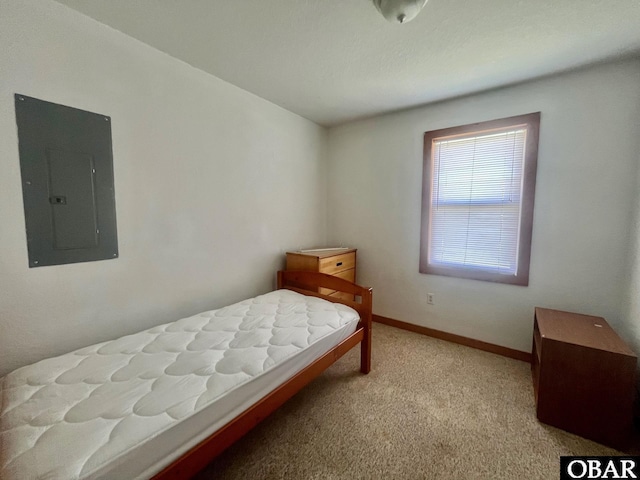 269 Lakeview Ct Lot 12, Engelhard, NC 27824 - carpeted bedroom featuring electric panel and baseboards