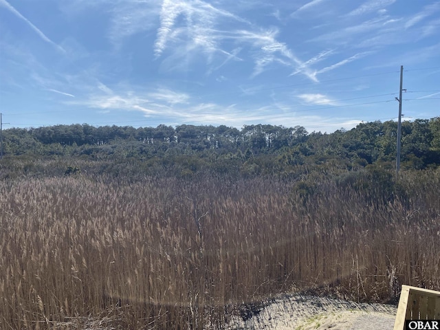 view of local wilderness with a forest view