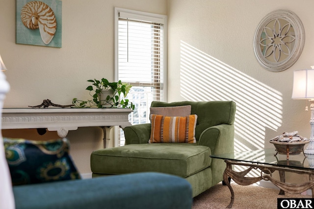 6317 S Virginia Dare Trl Unit 102, Nags Head, NC 27959 - living area with carpet floors
