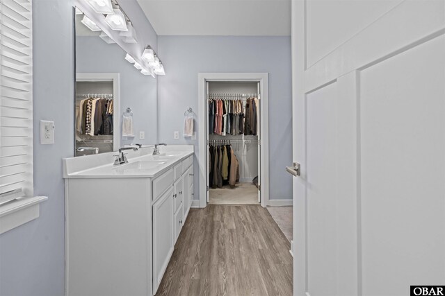 full bathroom featuring double vanity, wood finished floors, a sink, and a walk in closet