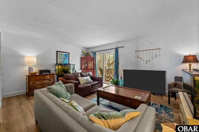 33 Croatan Ct Unit 33, Manteo, NC 27954 - living room featuring light wood-style flooring, a textured ceiling, and baseboards