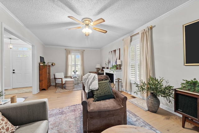 living area featuring light wood-type flooring, ceiling fan, and ornamental molding