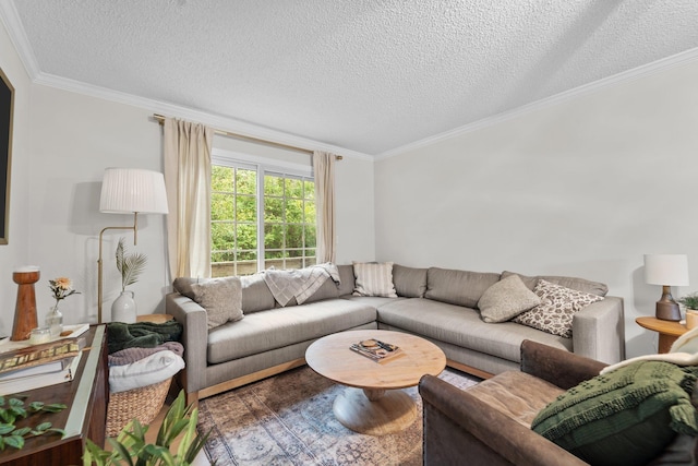 living room featuring a textured ceiling and ornamental molding