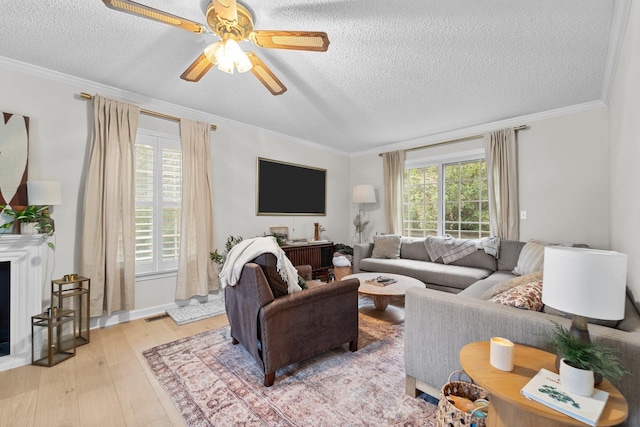 living area featuring ornamental molding, a wealth of natural light, a fireplace with raised hearth, and light wood finished floors