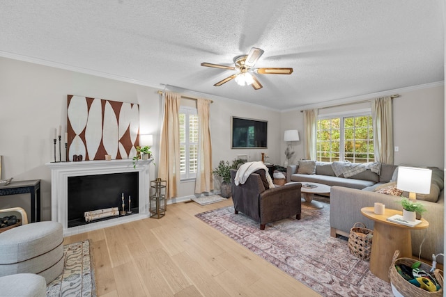 living area featuring ceiling fan, ornamental molding, wood finished floors, a textured ceiling, and a fireplace