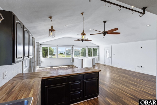113 B And B Ln, Coinjock, NC 27923 - kitchen with butcher block countertops, dark cabinets, lofted ceiling, ceiling fan, and dark wood finished floors