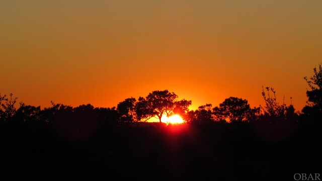 744 Hammock Ln Lot 342, Corolla, NC 27927 - view of nature