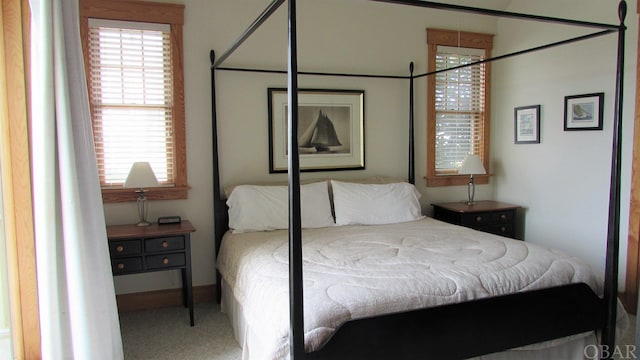 bedroom featuring carpet and multiple windows