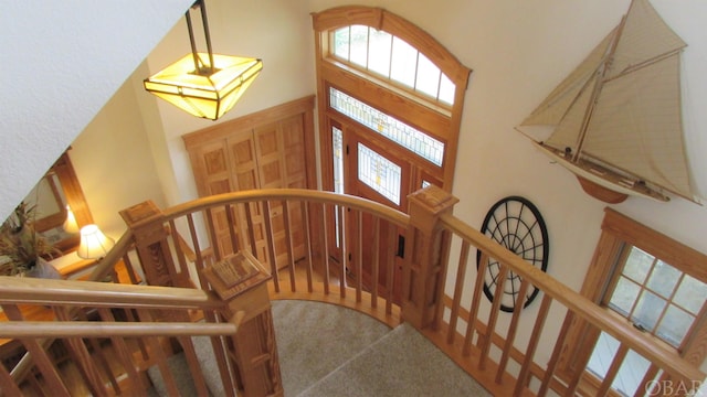 entrance foyer featuring carpet and a high ceiling