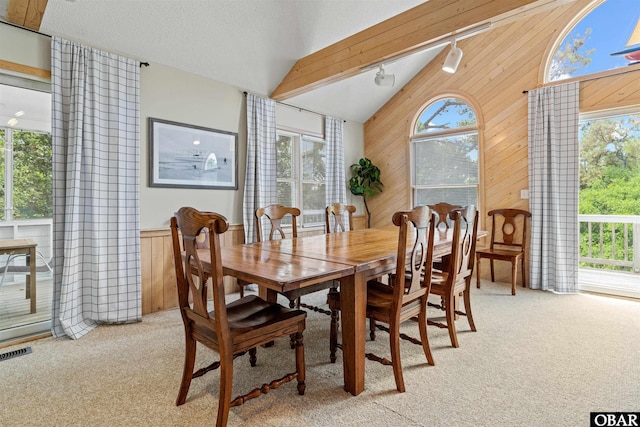 1039 Miller Ct Lot 526, Corolla, NC 27927 - dining space with wooden walls, carpet, rail lighting, and a wainscoted wall