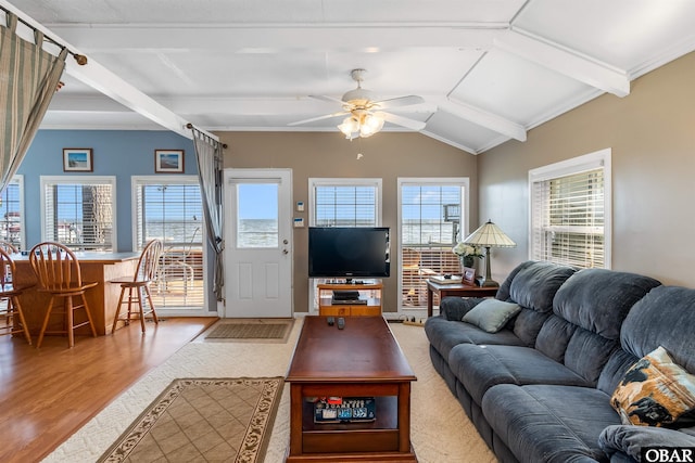 living room featuring ceiling fan, lofted ceiling with beams, and wood finished floors