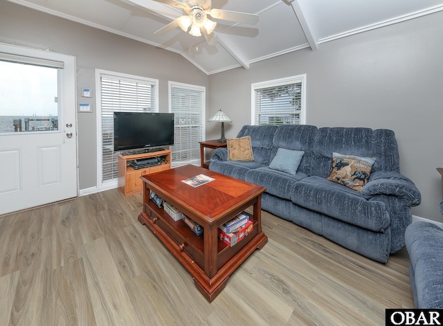 156 Longbeach Dr Unit Lot3, Hertford, NC 27944 - living room with light wood-type flooring, ceiling fan, and plenty of natural light