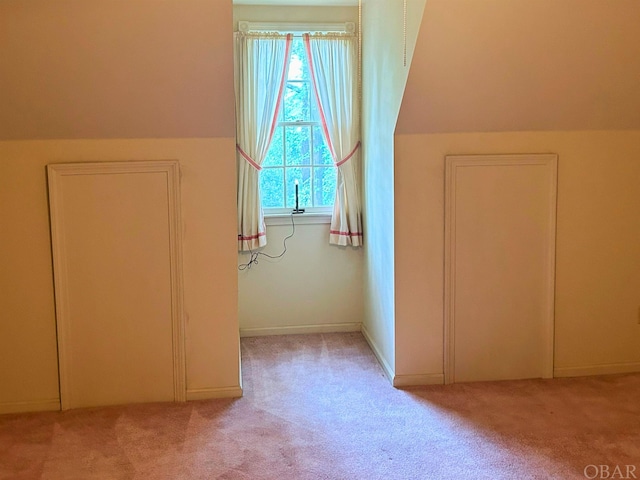 additional living space featuring light carpet and vaulted ceiling