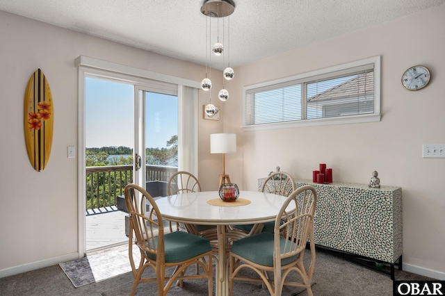 carpeted dining room featuring baseboards and a textured ceiling