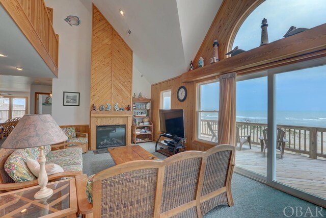 living area featuring carpet floors, a healthy amount of sunlight, and wood walls