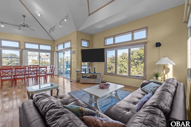 living room with high vaulted ceiling, rail lighting, hardwood / wood-style flooring, and a ceiling fan