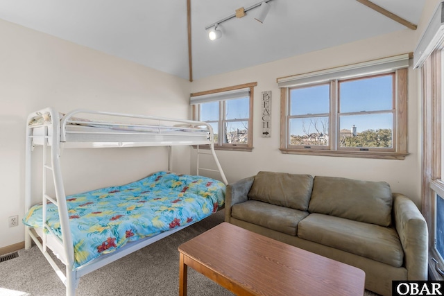 bedroom featuring carpet floors, rail lighting, vaulted ceiling, and baseboards