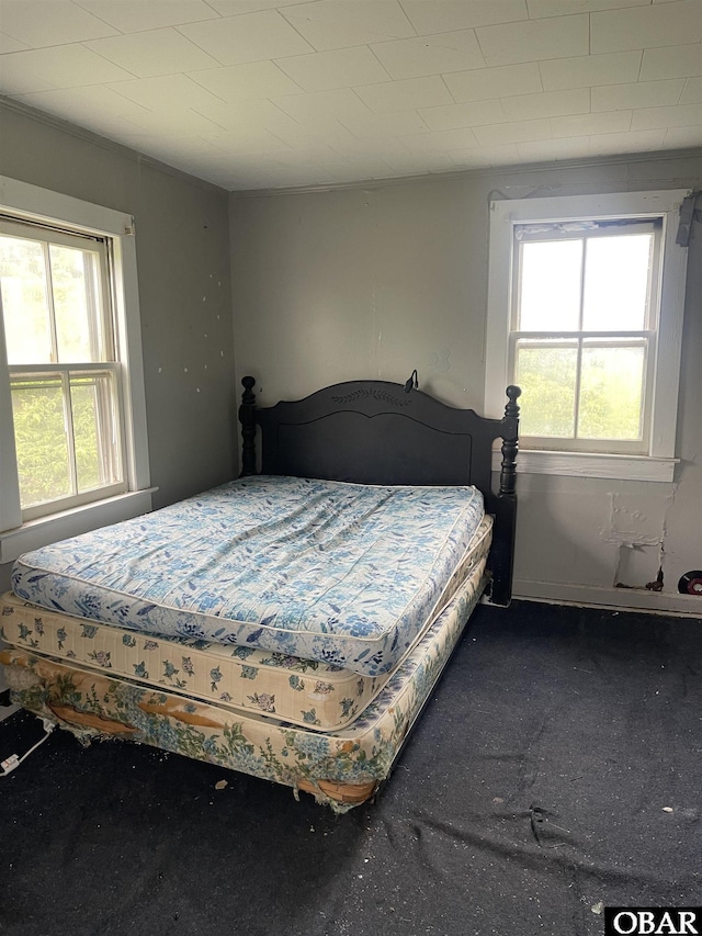506 Poplar Branch Rd, Poplar Branch, NC 27965 - carpeted bedroom featuring multiple windows