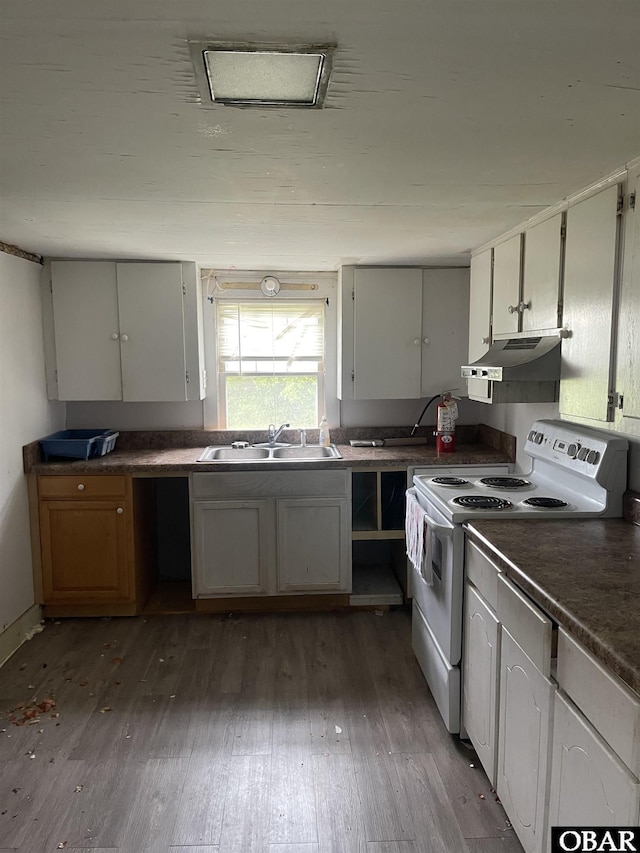 506 Poplar Branch Rd, Poplar Branch, NC 27965 - kitchen with electric stove, under cabinet range hood, hardwood / wood-style floors, and a sink