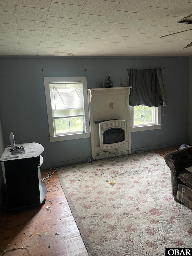506 Poplar Branch Rd, Poplar Branch, NC 27965 - living area with healthy amount of natural light, heating unit, and wood finished floors