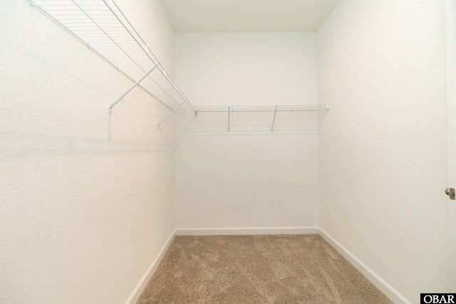 104 Yadkin Dr Lot # 77, South Mills, NC 27973 - walk in closet with light carpet