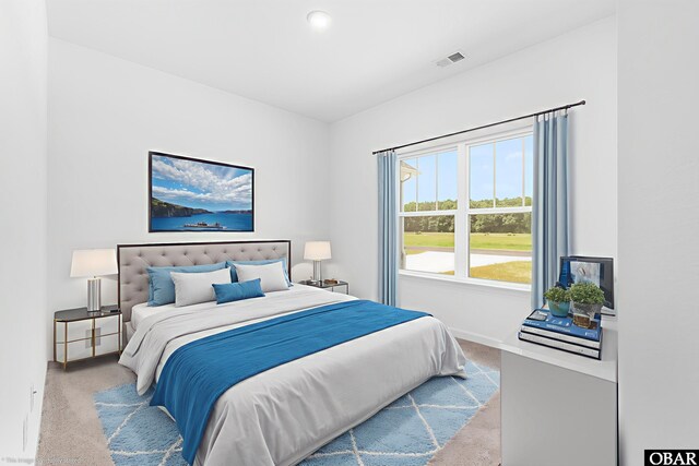 104 Yadkin Dr Lot # 77, South Mills, NC 27973 - bedroom with carpet flooring