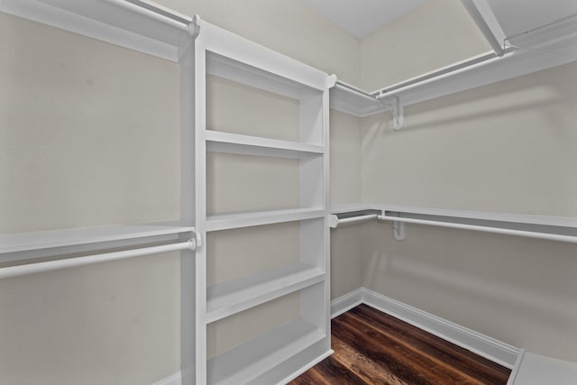 walk in closet with dark wood-type flooring