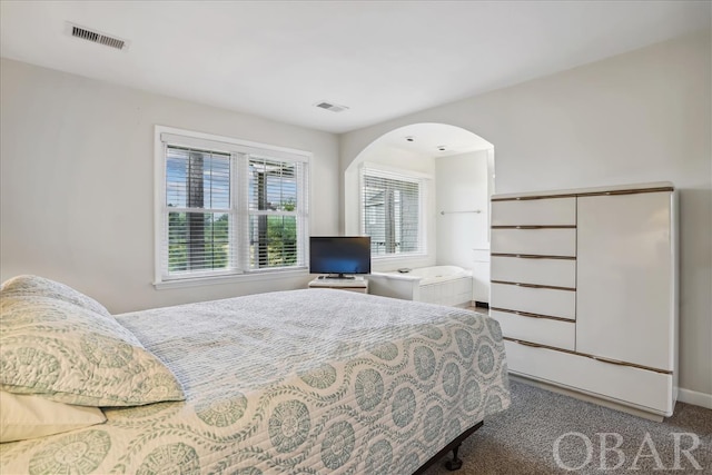 bedroom featuring carpet, visible vents, and arched walkways