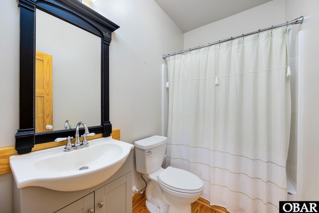 full bathroom with vanity, toilet, and a shower with curtain