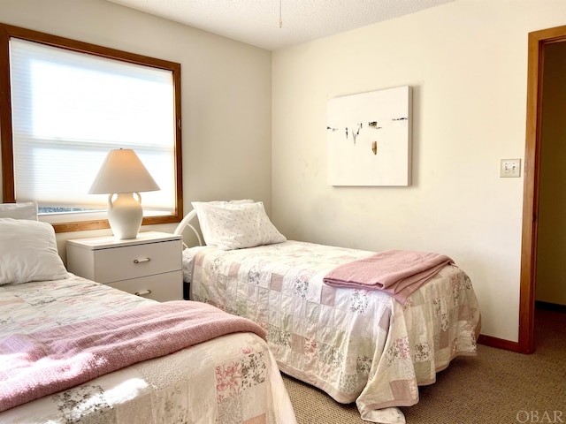 bedroom with a textured ceiling, baseboards, and carpet flooring