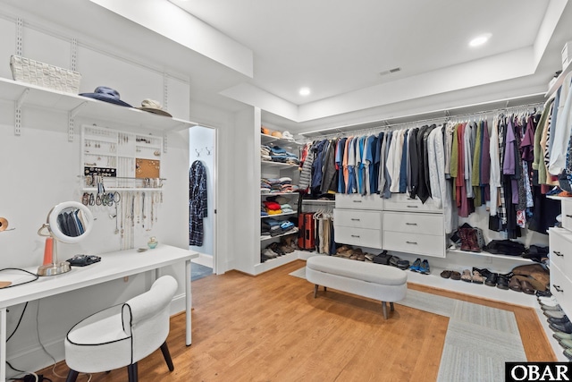 spacious closet featuring wood finished floors