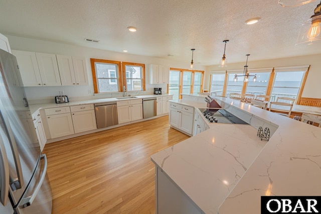 kitchen with a textured ceiling, a wealth of natural light, light wood-style floors, and appliances with stainless steel finishes