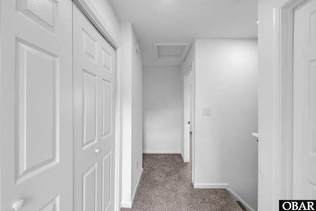 113 Otter Way Lot 68, South Mills, NC 27976 - hall featuring dark colored carpet and attic access