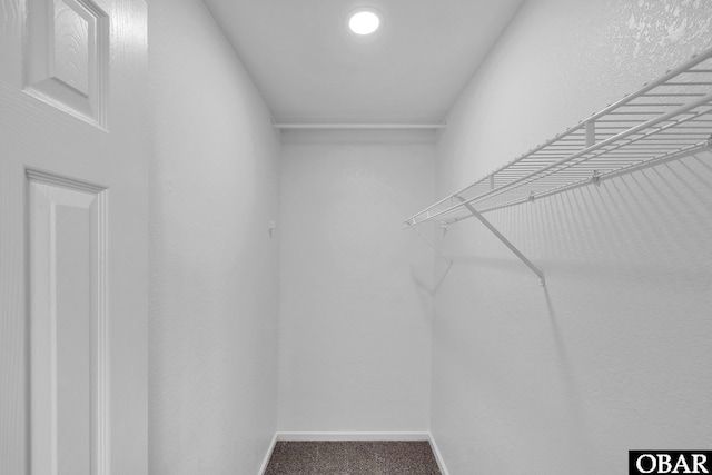 113 Otter Way Lot 68, South Mills, NC 27976 - spacious closet with carpet flooring