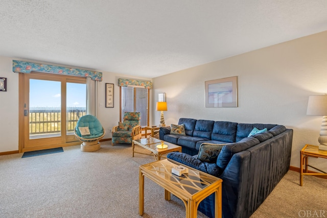 carpeted living area featuring baseboards and a textured ceiling