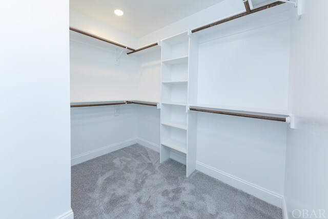 spacious closet with light colored carpet