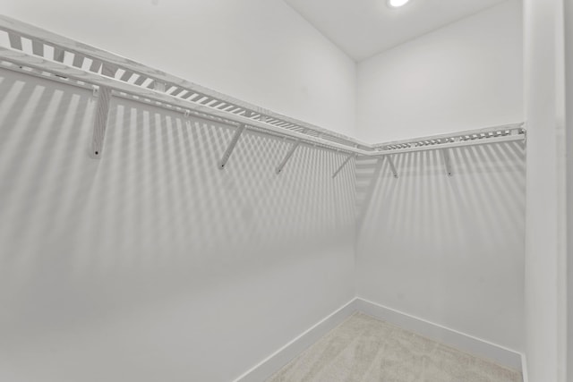 spacious closet with light colored carpet